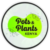 Pots and Plants Kenya